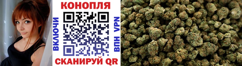 Купить закладку Alpha-PVP Каннабис Псилоцибиновые грибы Гашиш КОКАИН Меф Гдов
