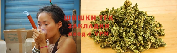 2c-b Бородино