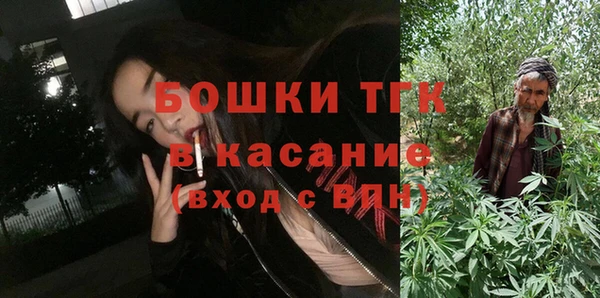 2c-b Бородино
