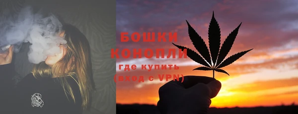2c-b Бородино