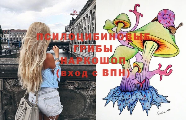 2c-b Бородино