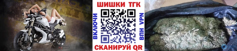 Бошки Шишки Amnesia  Купить закладки  Гдов 